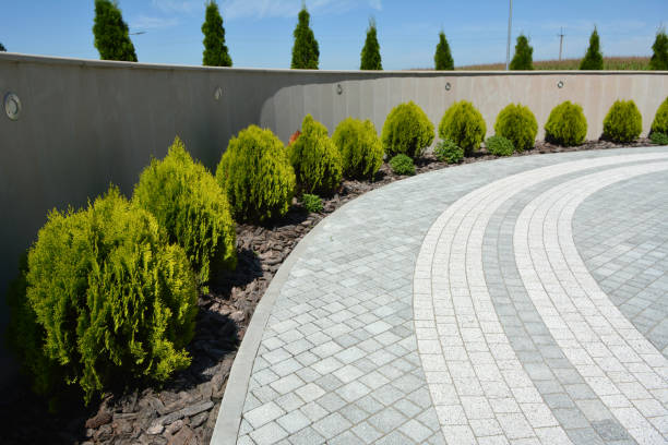 Reasons to Select Us for Your Driveway Paving Requirements in Pensacola, FL